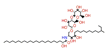 Luidialactoside B